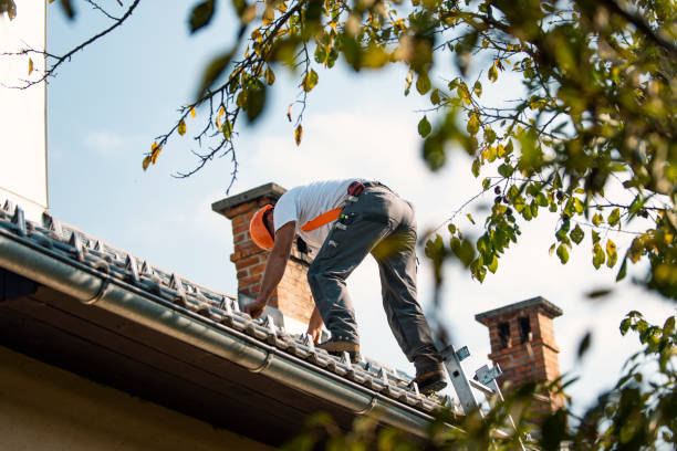 Best Roof Leak Repair  in St Henry, OH