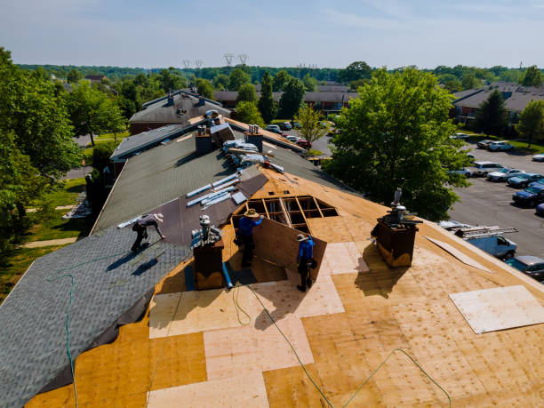 Best Flat Roof Repair Services  in St Henry, OH