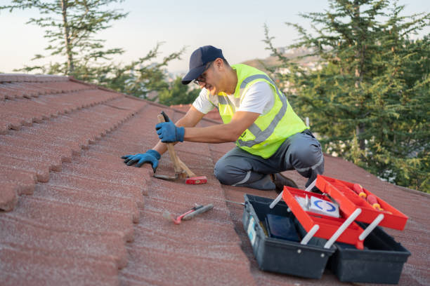 Best Roof Gutter Cleaning  in St Henry, OH